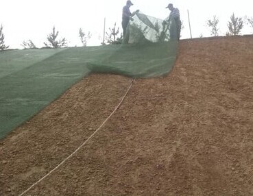 三維植被網(wǎng) 三維植被網(wǎng)