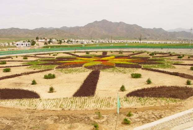 雙向土工格柵在中鐵二十局隨岳中高速公路中使用
