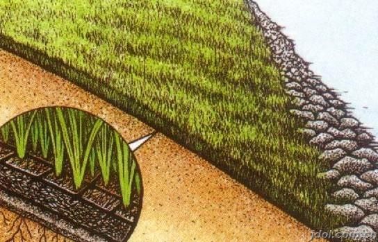 鋪設(shè)三維植被網(wǎng) 鋪設(shè)三維植被網(wǎng)