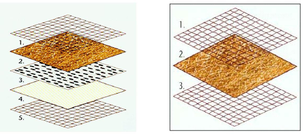 椰絲毯結(jié)構(gòu)